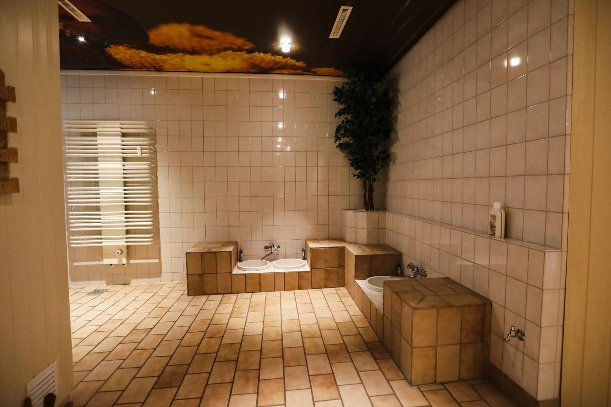Apartment 540, Oberharz, Mit Schwimmbad Und Sauna Braunlage Eksteriør billede