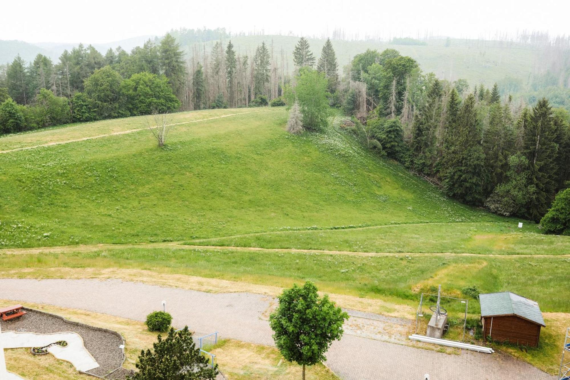 Apartment 540, Oberharz, Mit Schwimmbad Und Sauna Braunlage Eksteriør billede